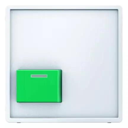  артикул 12516089 название Berker Центральная панель для квитирующего переключателя с зеленой кнопкой цвет: полярная белезна, с