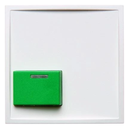  артикул 12518989 название Berker Центральная панель для квитирующего переключателя с зеленой кнопкой цвет: полярная белезна, с