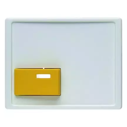  артикул 12520069 название Berker Центральная панель для квитирующего переключателя с желтой кнопкой цвет: полярная белезна, с 
