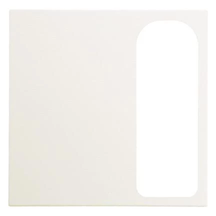  артикул 12888922 название Berker Центральная панель для 15-полюсной розетки цвет: белый, с блеском Berker S.1
