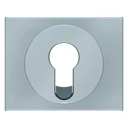  артикул 15057004 название Berker Центральная панель для замочных выключателей/кнопок цвет: стальной, лак Berker K.5