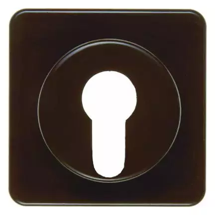  артикул 151911 название Berker Центральная панель для замочных выключателей/кнопок цвет: коричневый, с блеском Влагозащищенн
